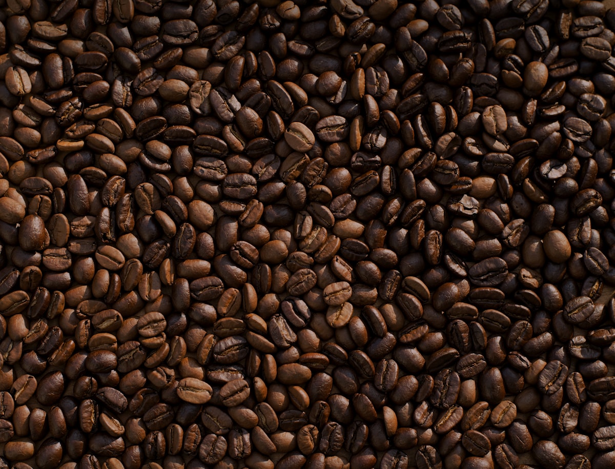 Coffee plantation tours near Monteverde