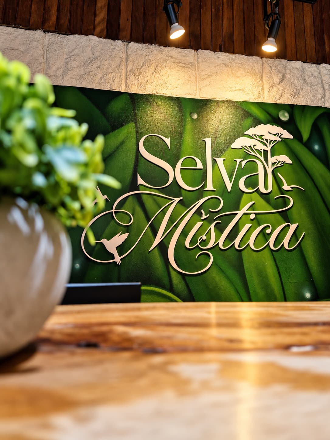 Hotel Interior — Selva Mística